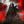 Sanctuary (New Twilight Edition) - Evanescence [Colour Vinyl]