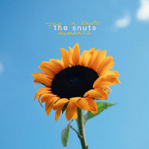 Joy in Short Moments - The Snuts [CD]
