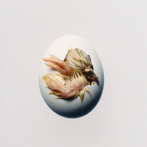 SWALLOW - Shygirl [Colour Vinyl]