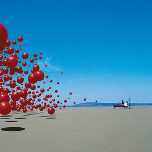 Wake Up and Smell the Coffee (25th Anniversary Edition) - The Cranberries [VINYL]