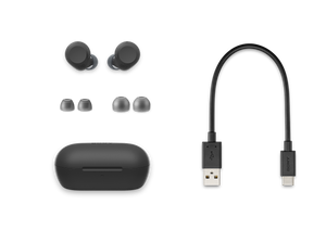 SONY WF-C710N Wireless Noise Cancelling Headphones - Black [Accessories]