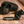 ONESONIC BXS-HD1 Headphones [Accessories]