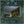 Death In The Business of Whaling - Searows [VINYL]