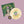 Golden Discs VINYL Show & Tell (Cream With Mustard Splatter Edition)- Bored At My Grandmas House [Colour Vinyl]
