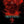 Stranger Things: Season 5 (Soundtrack From The Netflix Series) - Various Artists [CD]