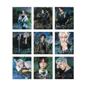 &TEAM KR 1st Mini Album 'Back to Life' (ROAR ver.) - &TEAM [CD]