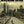 Golden Discs DVD The Walking Dead: The Complete First Season - David Alpert [DVD]