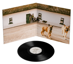 The Stone Man - The Wran [VINYL]