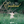 The Whole Thing Was Very Very Emotional - Morgana [CD]