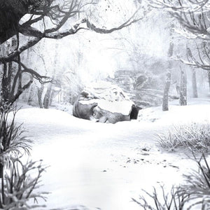 Golden Discs VINYL SZNZ: Winter - Weezer [VINYL]