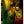 Bob Marley: One Love - Reinaldo Marcus Green [DVD]