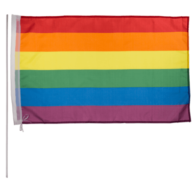 Golden Discs Posters & Merchandise Pride Flag 90x60cm [Posters & Merchandise]