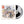 Big Ole Album Vol. 1 - A Day to Remember [Colour Vinyl]