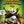 Golden Discs DVD Kung Fu Panda 4 - Mike Mitchell [DVD]