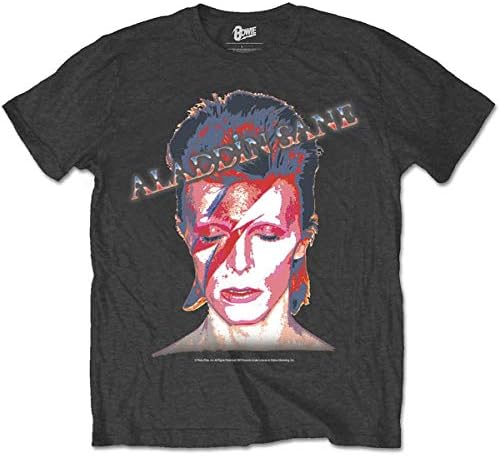 Golden Discs T-Shirts David Bowie Aladdin Sane - Large [T-Shirts]