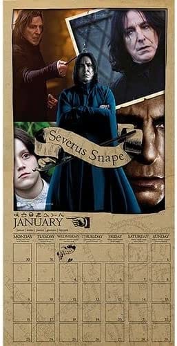 Golden Discs Posters & Merchandise HARRY POTTER SQUARE CALENDAR 2023 [Posters & Merchandise]