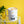 Golden Discs Mugs BT21 Chimmy, 330ml [Mug]