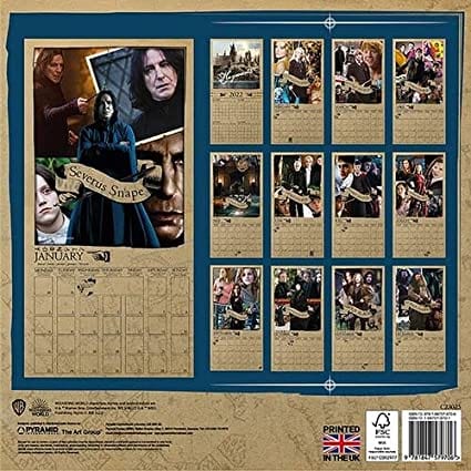 Golden Discs Posters & Merchandise HARRY POTTER SQUARE CALENDAR 2023 [Posters & Merchandise]