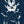 Golden Discs T-Shirts DRAGON BALL Z - VEGETA - MEDIUM [T-Shirts]