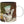 Golden Discs Mugs Dr Stone - Tsukasa Senku [Mug]