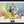 Golden Discs Poster Pokemon Framed Print Evoli [Posters]