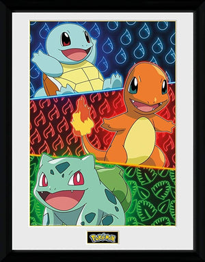Golden Discs Poster Pokemon Framed Print Starters [Posters]