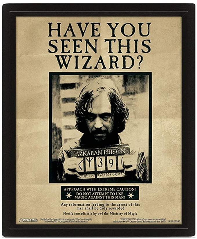Golden Discs Poster Harry Potter - Harry & Sirius 3D [Posters]