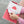 Golden Discs Posters & Merchandise Pusheen Love Collection Premium A5 [Notebook]