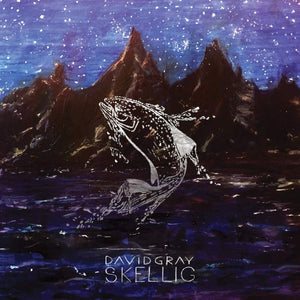 Golden Discs VINYL Skellig -  David Gray [VINYL]