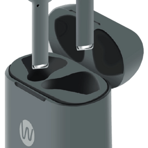 Golden Discs Accessories Walk W201 True Wireless Earphones - Grey [Accessories]