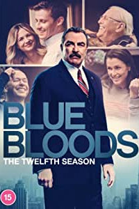 Golden Discs BOXSETS Blue Bloods: The Twelfth Season [Boxsets]