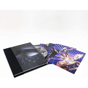 Golden Discs CD Fear Inoculum:   - Tool [CD]