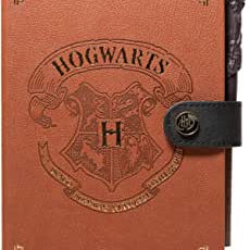 Golden Discs Posters & Merchandise Official Harry Potter Bullet Journal - A5 [Notebook]