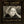 Golden Discs CD I Can Only Be Me:   - Eva Cassidy with the London Symphony Orchestra [CD]