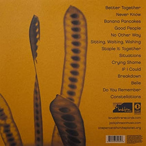 Golden Discs VINYL In Between Dreams - Jack Johnson [VINYL]