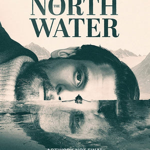 Golden Discs Boxsets The North Water [DVD]