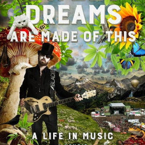 Golden Discs BOOK Sweet dreams are made of this - David A Stewart [BOOK]