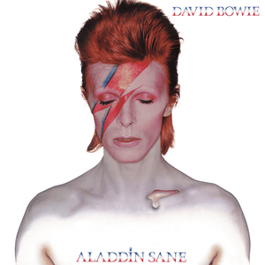 Golden Discs VINYL Aladdin Sane (Picture Disc) - David Bowie [VINYL]