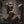 Golden Discs CD Signs of Life - Foy Vance [CD]
