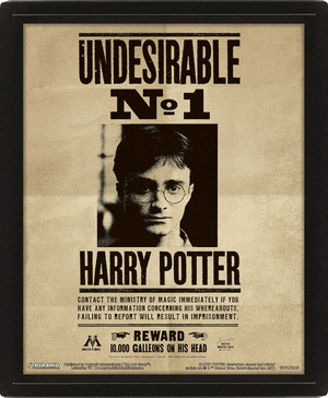 Golden Discs Poster Harry Potter - Harry & Sirius 3D [Posters]
