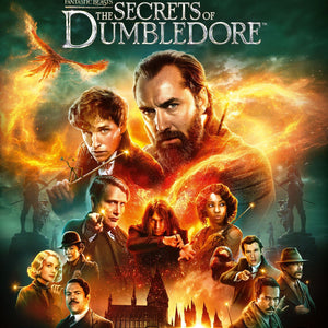 Golden Discs BLU-RAY Fantastic Beasts: The Secrets of Dumbledore - David Yates [BLU-RAY]