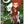 Golden Discs DVD The Secret of Kells - Tomm Moore [DVD]