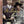 Golden Discs DVD In Loving Memory: The Complete Series - Ronnie Baxter [DVD]