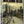 Golden Discs DVD The Walking Dead: The Complete First Season - David Alpert [DVD]