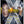 Golden Discs DVD X-Men: First Class - Matthew Vaughn [DVD]
