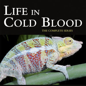 Golden Discs DVD David Attenborough: Life in Cold Blood - The Complete Series - David Attenborough [DVD]