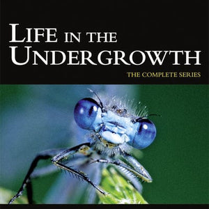 Golden Discs DVD David Attenborough: Life in the Undergrowth - The Complete Seires - David Attenborough [DVD]