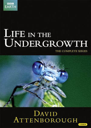 Golden Discs DVD David Attenborough: Life in the Undergrowth - The Complete Seires - David Attenborough [DVD]