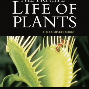 Golden Discs DVD David Attenborough: The Private Life of Plants - The Complete... - David Attenborough [DVD]
