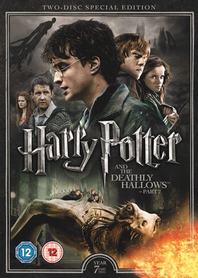 Golden Discs DVD Harry Potter and the Deathly Hallows: Part 2 - David Yates [DVD Special Edition]